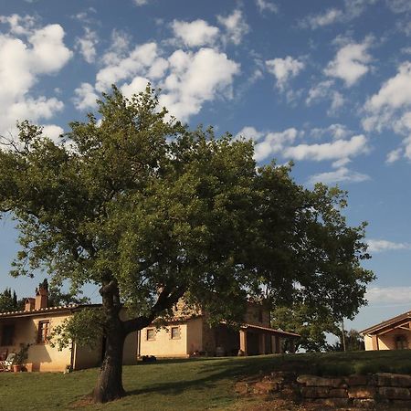 Agriturismo Belvedere Di Pierini E Brugi Campagnatico Kültér fotó