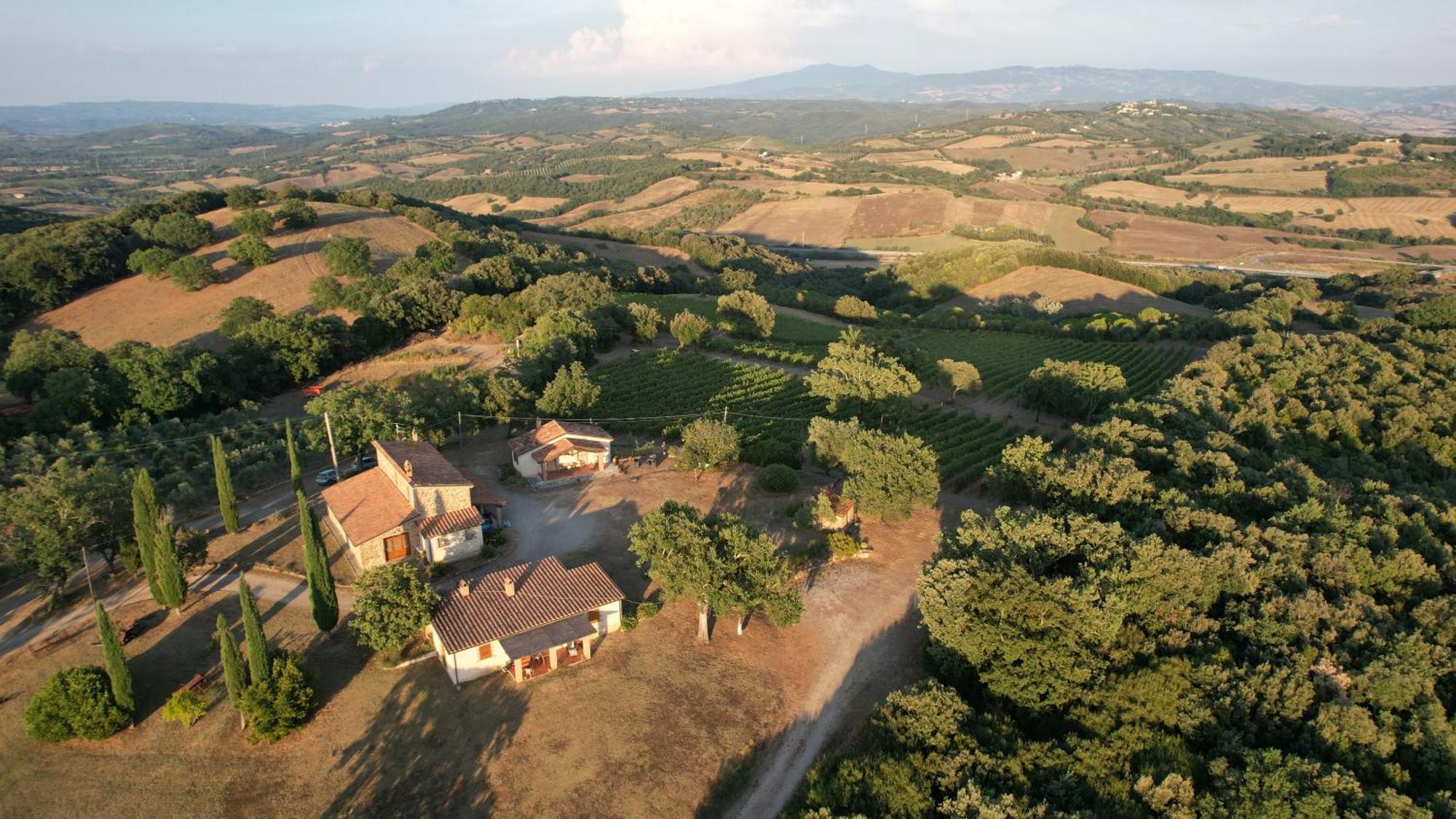 Agriturismo Belvedere Di Pierini E Brugi Campagnatico Kültér fotó