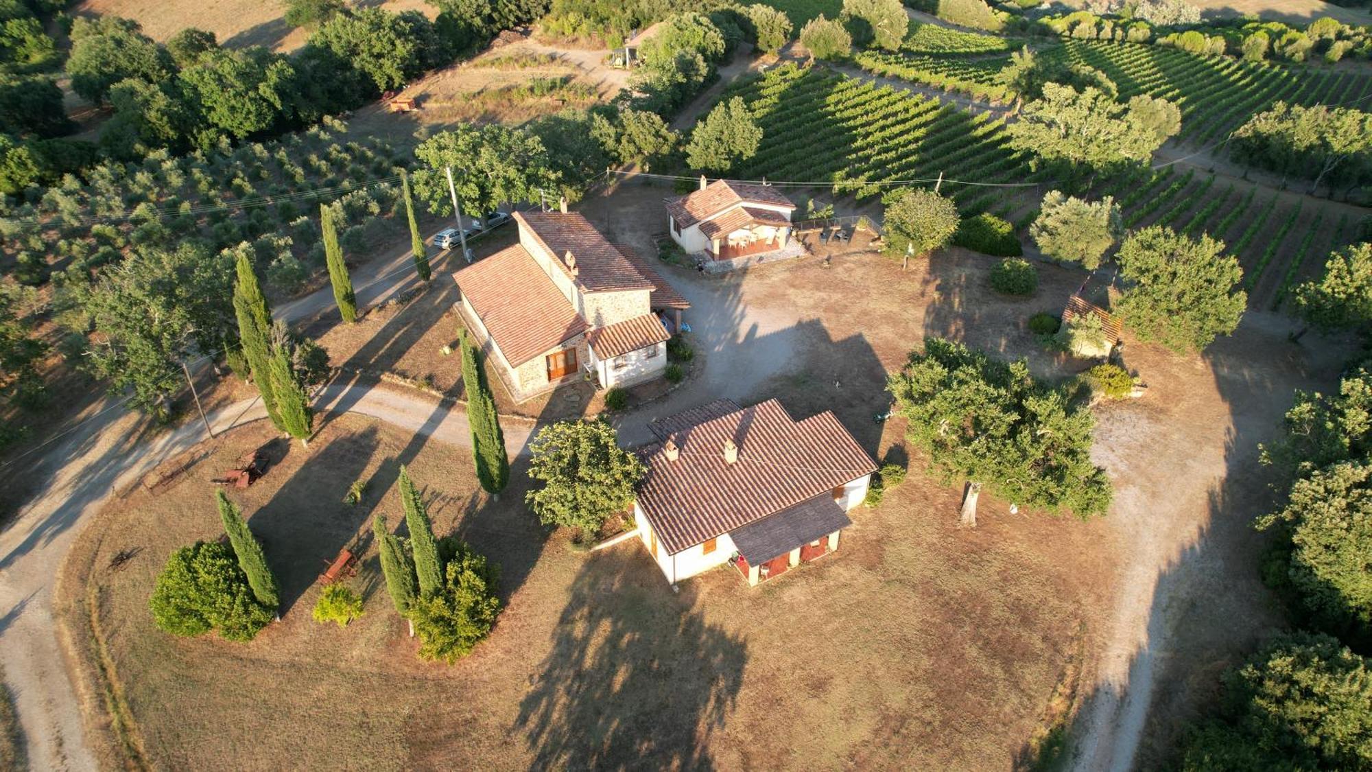 Agriturismo Belvedere Di Pierini E Brugi Campagnatico Kültér fotó